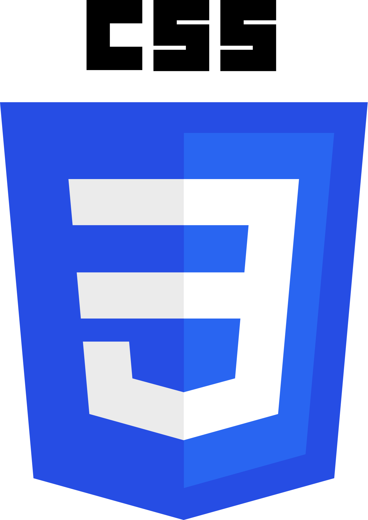 Expeience icon